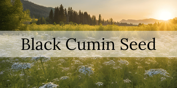 The Benefits of Black Cumin Seed for Diabetics and Overall Health