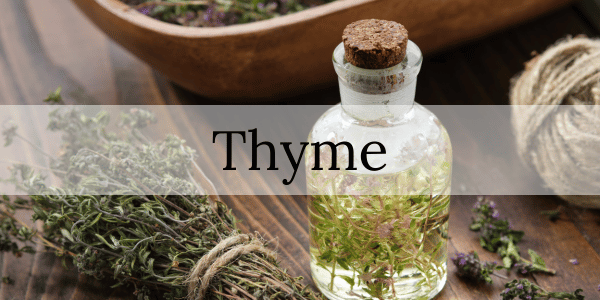 The Benefits of Thyme for Respiratory Health