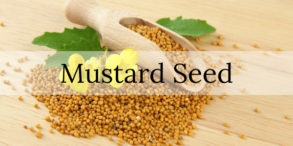 The Benefits of Mustard Seed for Diabetics and Overall Health