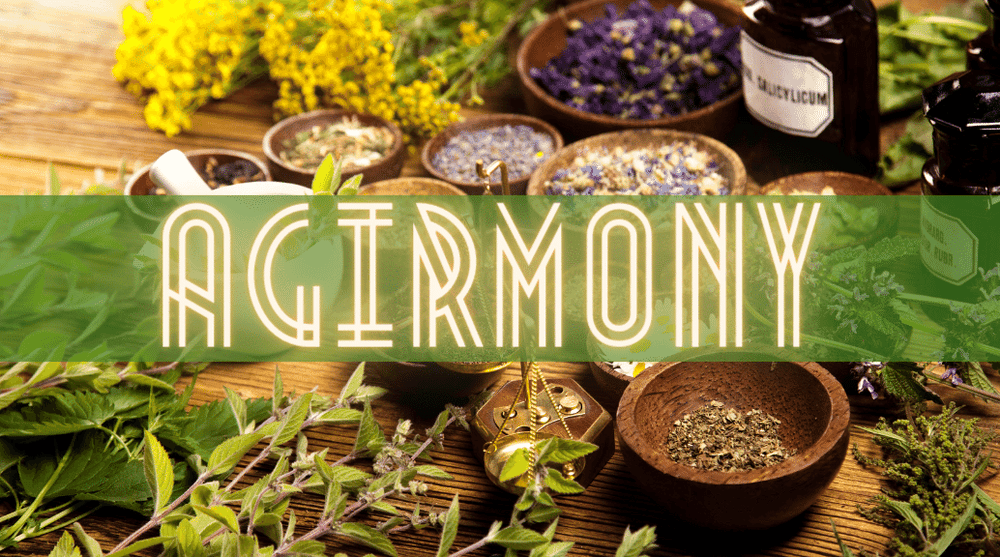 The Healing Power of Agrimony: Uses, Benefits, and Warnings