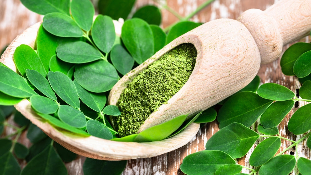 The Miraculous Moringa Herb: Unraveling Its Incredible Benefits