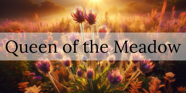 Queen of the Meadow: A Natural Support for Diabetes and High Blood Pressure